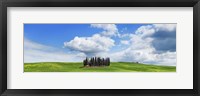 Framed Cypresses, Val d'Orcia, Tuscany