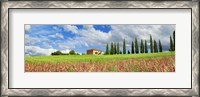 Framed Landscape with cypress alley and sainfoins, San Quirico d'Orcia, Tuscany