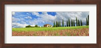 Framed Landscape with cypress alley and sainfoins, San Quirico d'Orcia, Tuscany