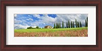 Framed Landscape with cypress alley and sainfoins, San Quirico d'Orcia, Tuscany