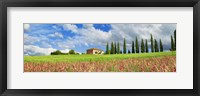 Framed Landscape with cypress alley and sainfoins, San Quirico d'Orcia, Tuscany
