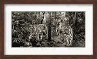Framed Bengal Tigers (detail, BW)