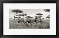 Framed Brothers, Masai Mara, Kenya (detail)