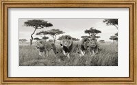 Framed Brothers, Masai Mara, Kenya (detail)