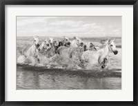 Framed Herd of Horses, Camargue