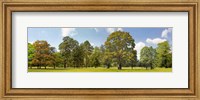 Framed Trees in a Park