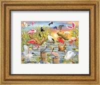 Framed Fabulous Water Birds