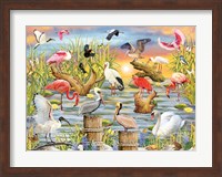 Framed Fabulous Water Birds