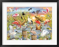 Framed Fabulous Water Birds