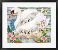 Framed Mother Swan