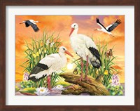 Framed Storks