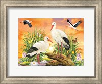Framed Storks