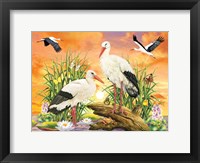 Framed Storks