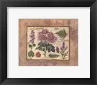 Framed French Hydrangea Collage