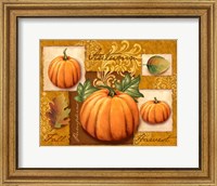 Framed Harvest Pumpkins