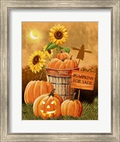 Framed Pumpkins for Sale