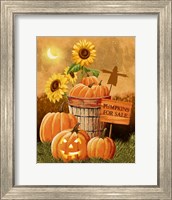 Framed Pumpkins for Sale