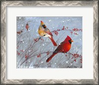Framed Winter Cardinals