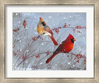 Framed Winter Cardinals