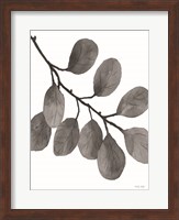 Framed Leaves in Gray I