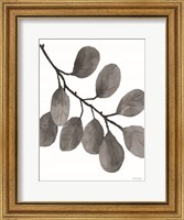 Framed Leaves in Gray I