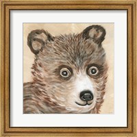 Framed Brody the Bear