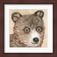Framed Brody the Bear