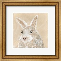 Framed 'Benny the Bunny' border=