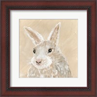 Framed 'Benny the Bunny' border=