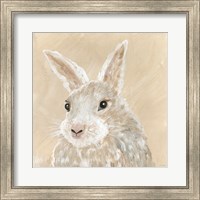 Framed Benny the Bunny