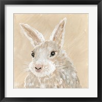 Framed 'Benny the Bunny' border=