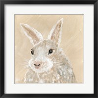 Framed Benny the Bunny
