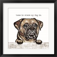 Framed 'Home is Where My Dog Is' border=