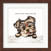 Framed Spoil Your Dog