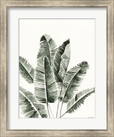 Framed Summer Botanicals 3