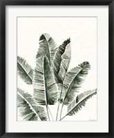 Summer Botanicals 3 Framed Print