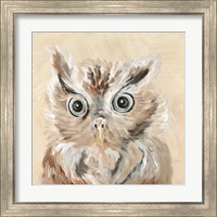 Framed 'Willow the Owl' border=