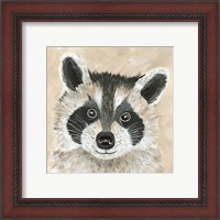 Framed 'Roxie the Raccoon' border=