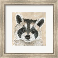 Framed 'Roxie the Raccoon' border=