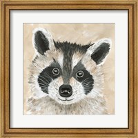 Framed Roxie the Raccoon