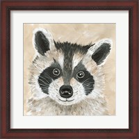 Framed Roxie the Raccoon
