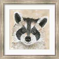 Framed 'Roxie the Raccoon' border=