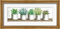 Framed Succulent Pots