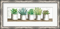 Framed Succulent Pots