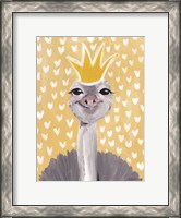 Framed Princess Ostrich