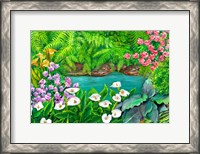 Framed Arums and Stream