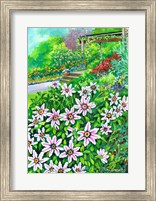 Framed Climbing Clematis