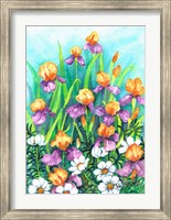 Framed Iris and Cosmos