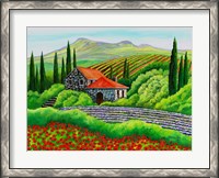 Framed Tuscany Poppies