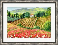 Framed Tuscany Terrain